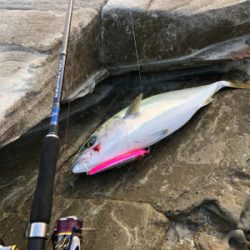 久々のショアプラッキング