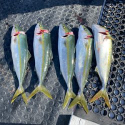 淡路沖、あんまりやな〜