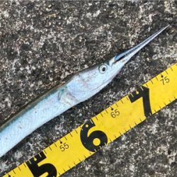 ルアーフィッシング