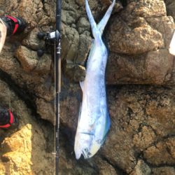 ショアジギング