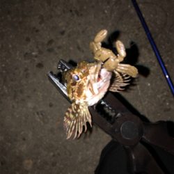 落とし込み的なやつ