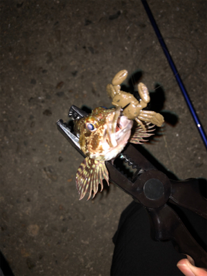 落とし込み的なやつ