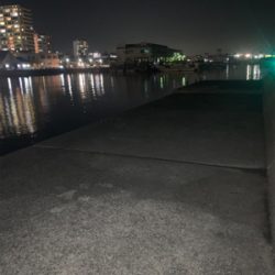 夜から翌日の昼釣行