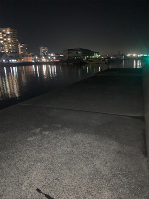 夜から翌日の昼釣行