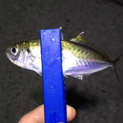 明石でライトゲーム