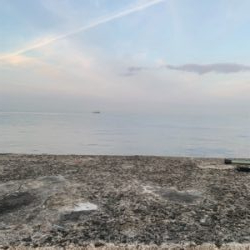 ショアジギングしました