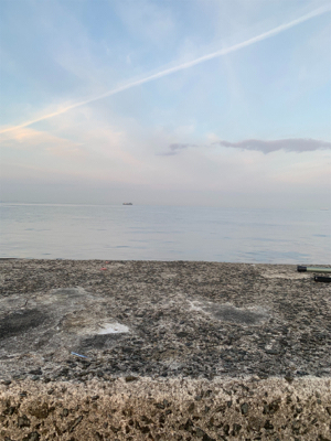 ショアジギングしました