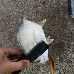 バラシまくり、、。