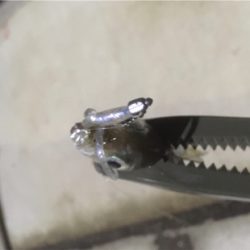 拾っていく釣り