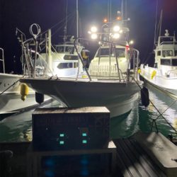 ティップラン本格か？