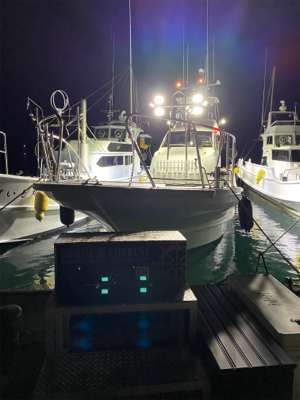 ティップラン本格か？