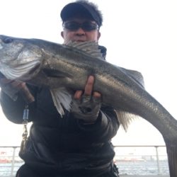 コスモスクエア釣果