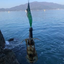 場所移動にてなんとか