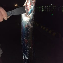 ネバーギブアップ