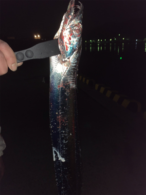 ネバーギブアップ