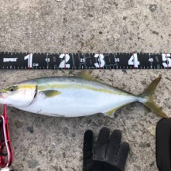 初めての大阪釣行