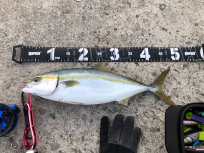 初めての大阪釣行