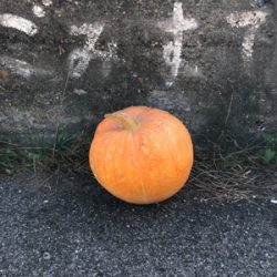 有田川隊ハロウィンパーティー