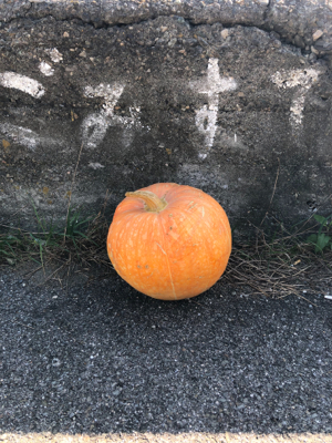 有田川隊ハロウィンパーティー