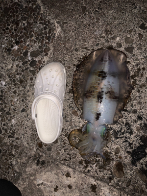 漢は黙ってヤエン。