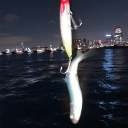 ナブラの中にいました！