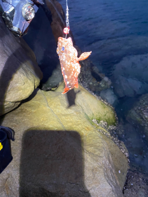 またまた穴釣り！