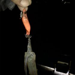 爆風の中ヒイカ釣りσ(^_^;)