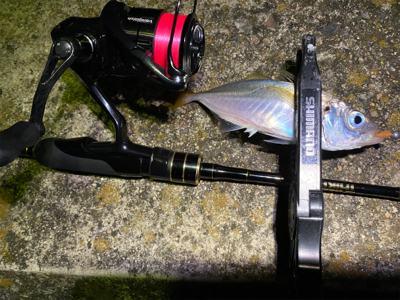 アジ・サバ時々入れ食い