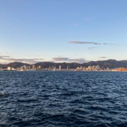 時合いは一瞬!?