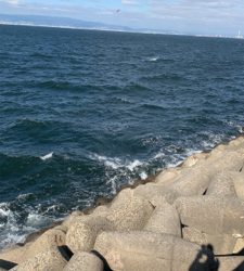 釣りに行けなけくて