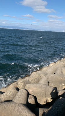 釣りに行けなけくて