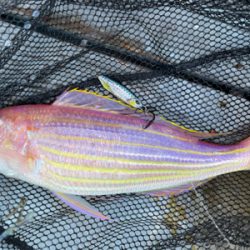 オフショアライトジギング