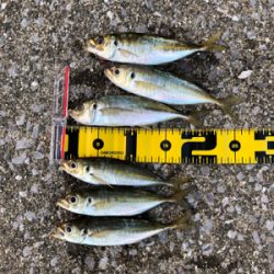 昨年と打って変わって