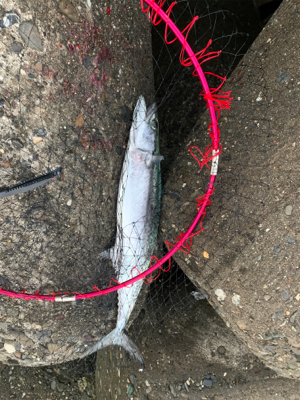 初めての連続ヒット