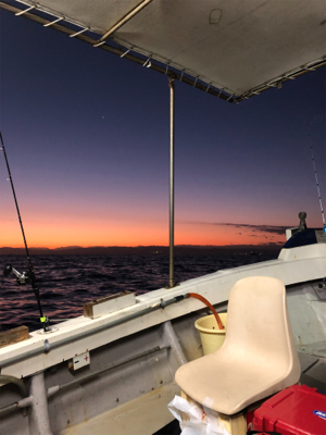 明石　ヒラメ・アコウ・青物