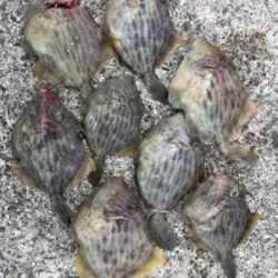 3年ぶりのハギング