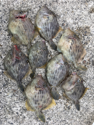 3年ぶりのハギング