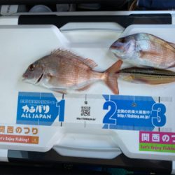 カレイ、カワハギ釣り