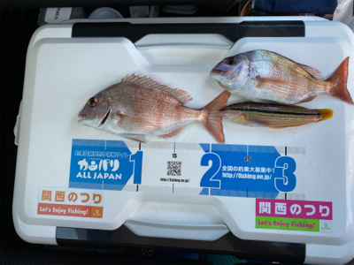 カレイ、カワハギ釣り