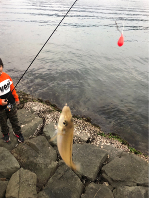 ショアジギ &エギング