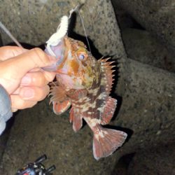 ロックフィッシュゲーム