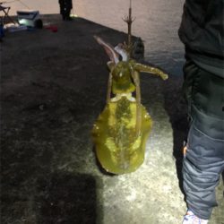 久しぶりのヤエン