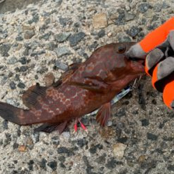 長期ボーズから脱出!