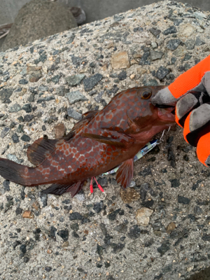 長期ボーズから脱出!