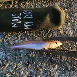 久しぶりのキス時々・・