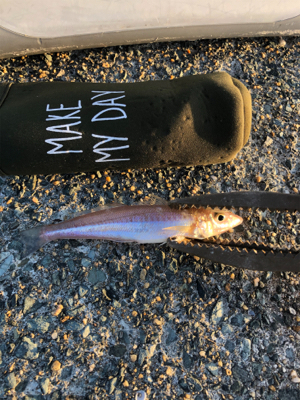 久しぶりのキス時々・・