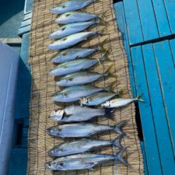 hayhayshipさんでのオフショア