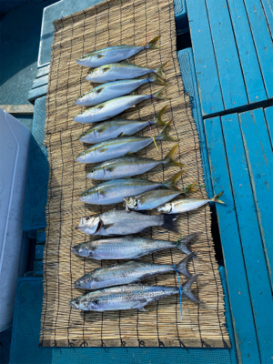 hayhayshipさんでのオフショア