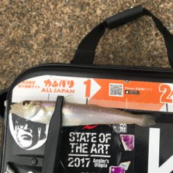 アジを求めて⑲