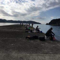 沖堤防でのカゴ釣り